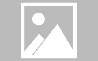 武陟信息咨询服务，助力精准获取信息，提升竞争力